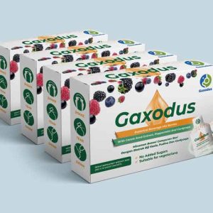 4-Boxes-Gaxodus