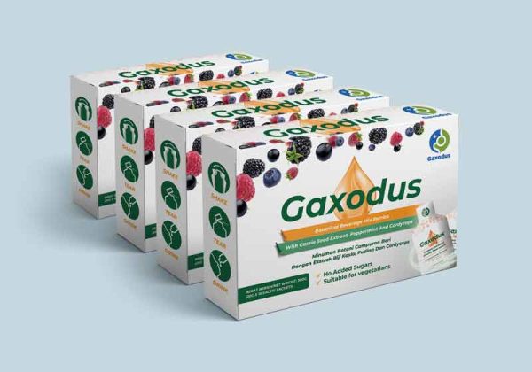 4-Boxes-Gaxodus