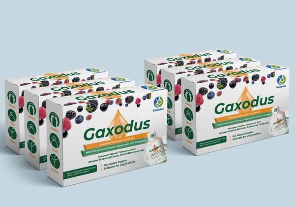 6-boxes-of-gaxodus
