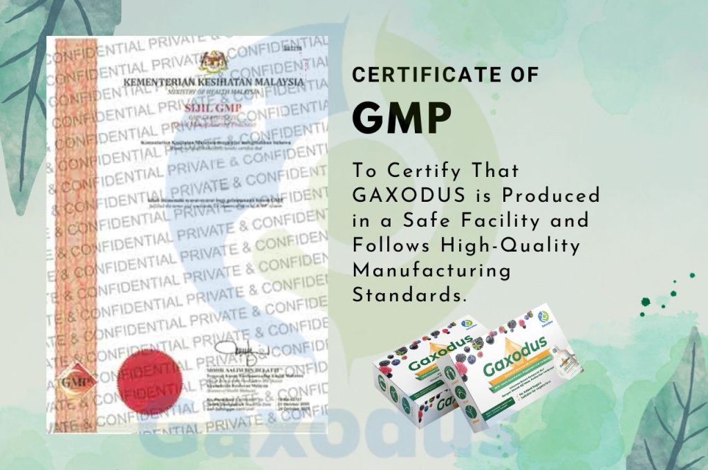 Certificate of GMP Gaxodus Safe Product Certification